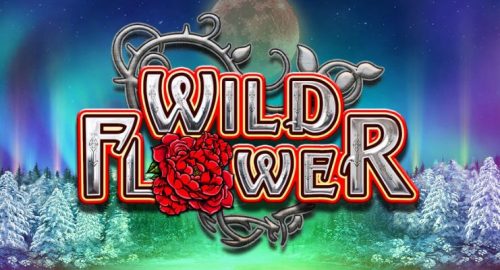 Wild Flower slot review