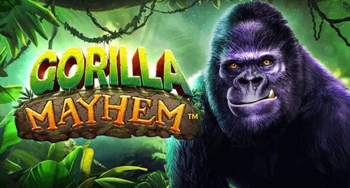 Gorilla Mayhem gokkast